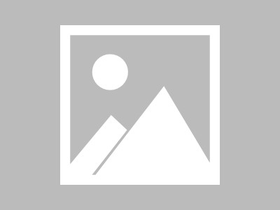 花888买来的乐器教学(包括古筝，电子琴，钢琴)